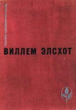 Виллем Элсхот Избранное обложка книги