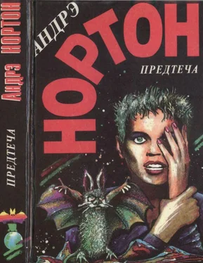 Андрэ Нортон Предтеча. Предтеча: Приключение второе обложка книги