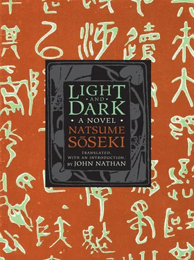Natsume Soseki Light and dark обложка книги
