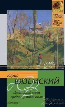 Юрий Вяземский Цветущий холм среди пустого поля (сборник) обложка книги