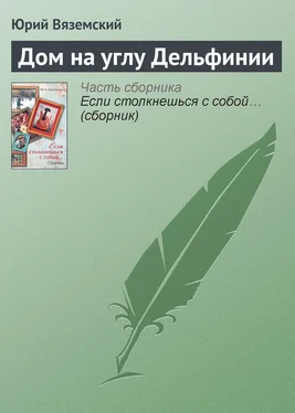 Юрий Вяземский Дом на углу Дельфинии обложка книги