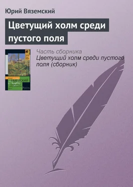 Юрий Вяземский Цветущий холм среди пустого поля обложка книги
