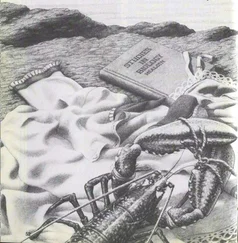 Эрик Линклейтер - Тюленьи штаны