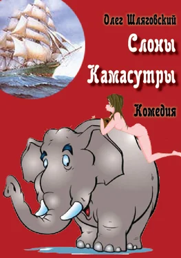 Олег Шляговский Слоны Камасутры обложка книги