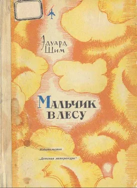 Эдуард Шим Мальчик в лесу обложка книги