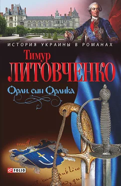 Тимур Литовченко Орли, сын Орлика обложка книги