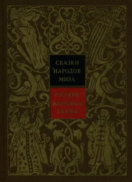 Владимир Аникин Русские народные сказки обложка книги