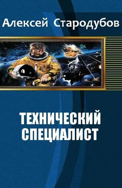 Стародубов Алексей Технический специалист обложка книги