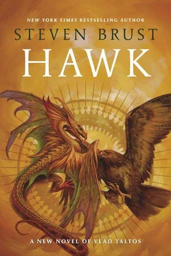 Steven Brust Hawk обложка книги