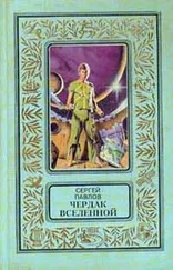 Сергей Павлов - Чердак Вселенной
