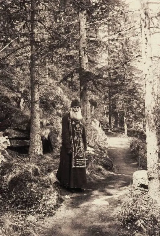 Монахсхимник Фотография Погода серенькая дождливая унесли лето журавли - фото 74