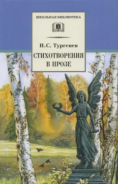 Иван Тургенев Стихотворения в прозе обложка книги