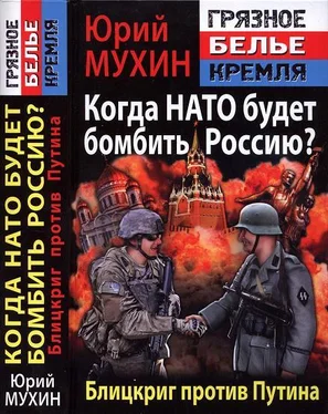 Юрий Мухин Когда НАТО будет бомбить Россию? Блицкриг против Путина обложка книги