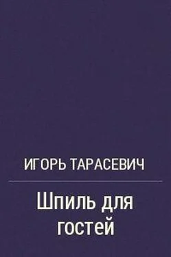 Игорь Тарасевич Шпиль для гостей обложка книги