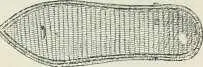 Fig 425 SemeUe égyptienne sait de petites bandes plates quon joignait - фото 408