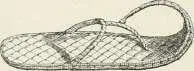 Fig 430 Sandale une ligne courbe quelquefois assez prononcée Ces - фото 413