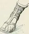 Fig 136 Fig 437 Chaussures grecques semelle passe toujours entre - фото 420
