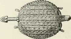 Fig 556 Potllo tortue ea or Egypte femmes se servaient pour se - фото 524
