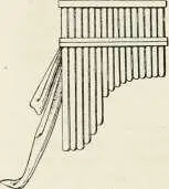 Fig 193 Fig 194 Flûtes de Pan On sen servait aussi pour appeler les - фото 747