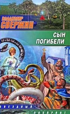 Владимир Свержин Сын погибели обложка книги