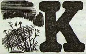 урулю они нашли под лестницей Он там сидел в темноте и плакал оплакивал давно - фото 11