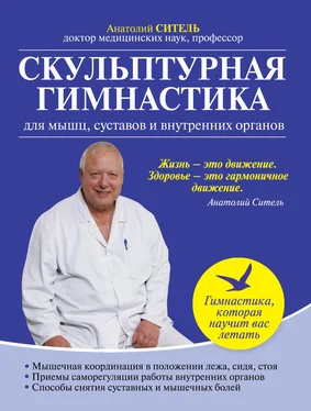 Анатолий Ситель Скульптурная гимнастика для мышц, суставов и внутренних органов обложка книги
