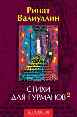 Ринат Валиуллин Стихи для гурманов 2 обложка книги