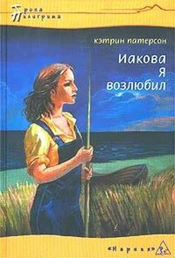 Кэтрин Патерсон Иакова Я возлюбил обложка книги