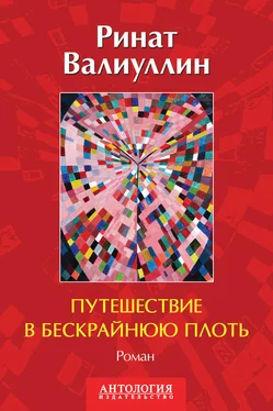 Ринат Валиуллин Путешествие в бескрайнюю плоть обложка книги