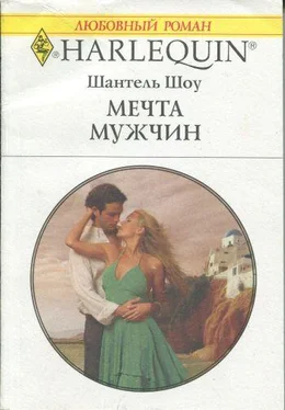 Шантель Шоу Мечта мужчин обложка книги