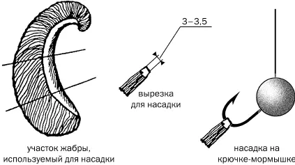Рис 36 Нельзя обойти вниманием раздражительность рыбы Замечено что рыбы не - фото 36