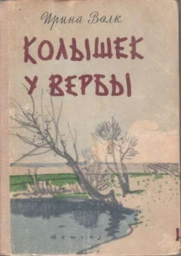 Ирина Волк Колышек у вербы обложка книги