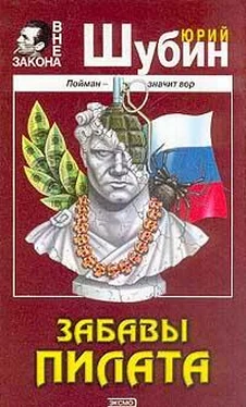 Юрий Шубин Забавы Пилата обложка книги