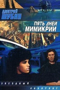 Дмитрий Шубин Пять дней мимикрии обложка книги