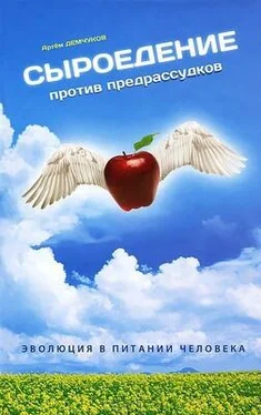 Артем Демчуков Сыроедение против предрассудков. Эволюция в питании человека обложка книги