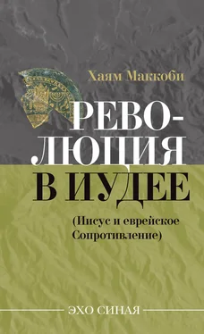 Хаям Маккоби Революция в Иудее (Иисус и еврейское Сопротивление) обложка книги