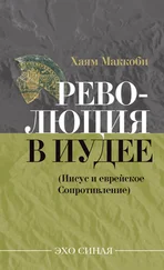 Хаям Маккоби - Революция в Иудее (Иисус и еврейское Сопротивление)