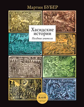 Мартин Бубер Хасидские истории. Поздние учителя обложка книги