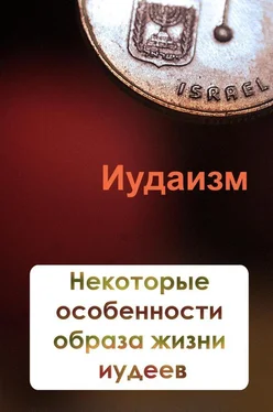 Илья Мельников Некторые особенности образа жизни иудеев обложка книги