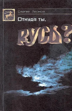 Сергей Парамонов Откуда ты, Русь? обложка книги