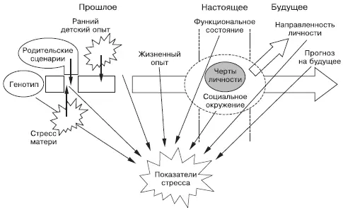 Рис 21 Факторы влияющие на развитие стресса у человека 33 Негативные - фото 28