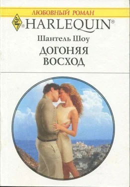 Шантель Шоу Догоняя восход обложка книги