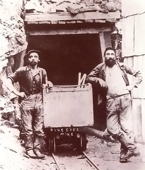 Калифорнийские шахтеры носили левисы на работу в 1890х годах Стоит сказать - фото 28