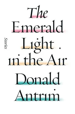 Donald Antrim The Emerald Light in the Air обложка книги