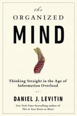 Daniel Levitin Abstract of the book. The Organized Mind: Thinking Straight in the Age of Information Overload обложка книги