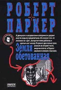 Роберт Паркер Земля обетованная обложка книги