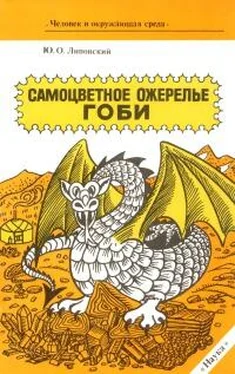 Юрий Липовский Самоцветное ожерелье Гоби обложка книги