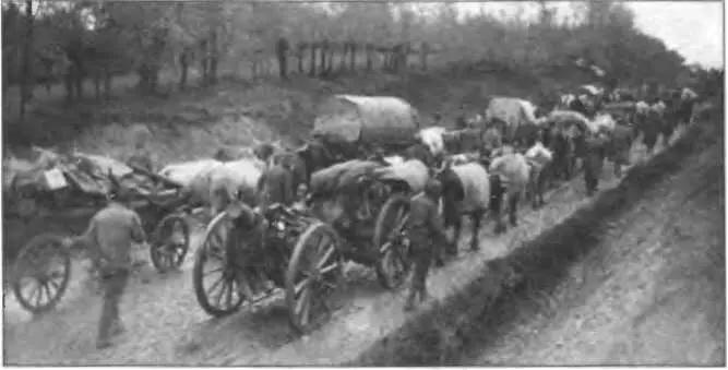 Отступление сербской армии в Албанию Октябрь 1915 г Англофранцузские - фото 117