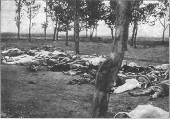 Жертвы армянского геноцида в Турции 1915 г Перепись населения Турции - фото 157
