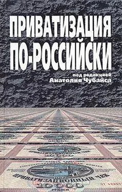 Анатолий Чубайс Приватизация по-российски обложка книги